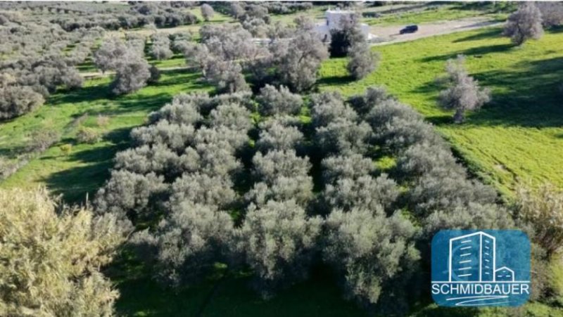 Sivas Südkreta, Sivas: Traumvilla mit Pool zum Verkauf Haus kaufen